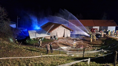 MEDDRU&Scaron;TVENA VAJA GRUDNICA